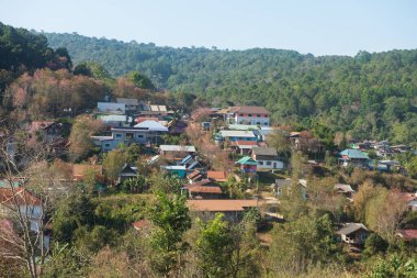 Phitsanulok Thailand January 25 2023 Wat Pa Phuhin Rong kla, Ban Rong Kla, Phu Hin Rong Kla National Park.