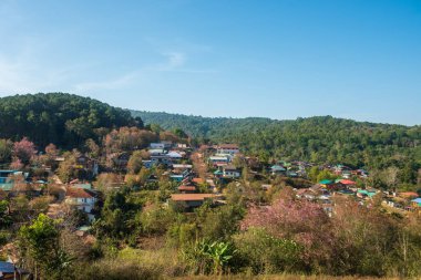 Phitsanulok Thailand January 25 2023 Wat Pa Phuhin Rong kla, Ban Rong Kla, Phu Hin Rong Kla National Park.