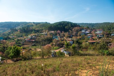 Phitsanulok Thailand January 25 2023 Wat Pa Phuhin Rong kla, Ban Rong Kla, Phu Hin Rong Kla National Park.