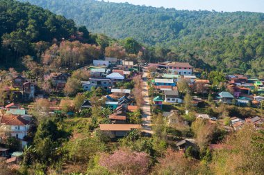 Phitsanulok Thailand January 25 2023 Wat Pa Phuhin Rong kla, Ban Rong Kla, Phu Hin Rong Kla National Park.