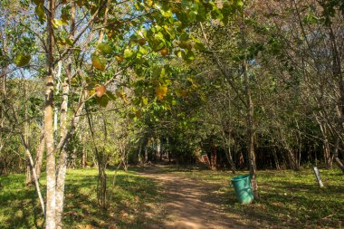 Phitsanulok Thailand January 25 2023 Wat Pa Phuhin Rong kla, Ban Rong Kla, Phu Hin Rong Kla National Park.