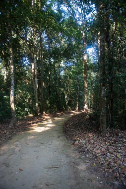 Phitsanulok Thailand January 25 2023 Wat Pa Phuhin Rong kla, Ban Rong Kla, Phu Hin Rong Kla National Park.
