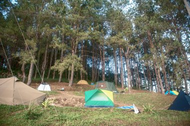 Phitsanulok Thailand January 25 2023 Rongkra village is located at Phitsanulok Province as the south of northern . Ban Rong Kla, Phu Hin Rong Kla National Park.