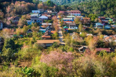 Phitsanulok Thailand January 25 2023 Wat Pa Phuhin Rong kla, Ban Rong Kla, Phu Hin Rong Kla National Park.