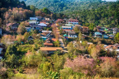 Phitsanulok Thailand January 25 2023 Wat Pa Phuhin Rong kla, Ban Rong Kla, Phu Hin Rong Kla National Park.