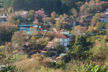Phitsanulok Thailand January 25 2023 Wat Pa Phuhin Rong kla, Ban Rong Kla, Phu Hin Rong Kla National Park.