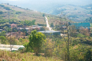 Phitsanulok Thailand January 25 2023 Wat Pa Phuhin Rong kla, Ban Rong Kla, Phu Hin Rong Kla National Park.