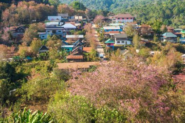 Phitsanulok Tayland 25 Ocak 2023 Wat Pa Phuhin Rong kla, Ban Rong Kla, Phu Hin Rong Kla Milli Park.