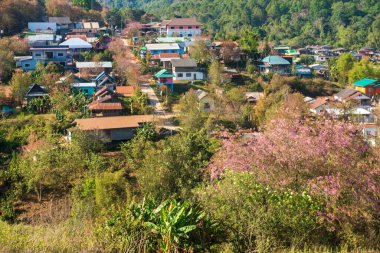 Phitsanulok Tayland 25 Ocak 2023 Wat Pa Phuhin Rong kla, Ban Rong Kla, Phu Hin Rong Kla Milli Park.