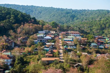 Phitsanulok Thailand January 25 2023 Wat Pa Phuhin Rong kla, Ban Rong Kla, Phu Hin Rong Kla National Park.