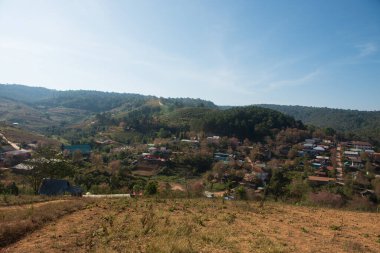 Phitsanulok Thailand January 25 2023 Wat Pa Phuhin Rong kla, Ban Rong Kla, Phu Hin Rong Kla National Park.