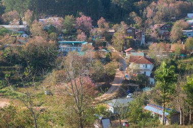 Phitsanulok Thailand January 25 2023 Wat Pa Phuhin Rong kla, Ban Rong Kla, Phu Hin Rong Kla National Park.