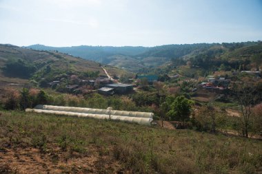 Phitsanulok Thailand January 25 2023 Wat Pa Phuhin Rong kla, Ban Rong Kla, Phu Hin Rong Kla National Park.