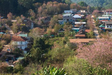 Phitsanulok Thailand January 25 2023 Wat Pa Phuhin Rong kla, Ban Rong Kla, Phu Hin Rong Kla National Park.