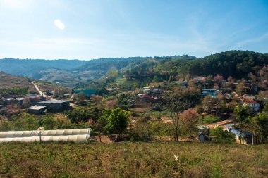 Phitsanulok Thailand January 25 2023 Wat Pa Phuhin Rong kla, Ban Rong Kla, Phu Hin Rong Kla National Park.