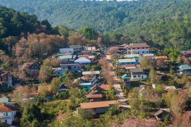 Phitsanulok Thailand January 25 2023 Wat Pa Phuhin Rong kla, Ban Rong Kla, Phu Hin Rong Kla National Park.