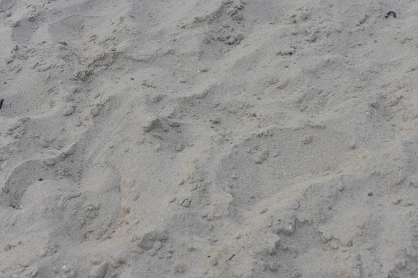 Фон Піщаною Текстурою Пляжі — стокове фото
