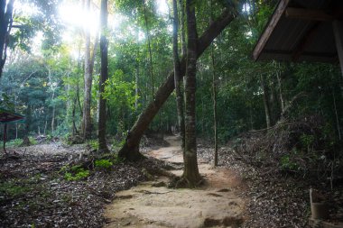 Phitsanulok Thailand January 25 2023 Wat Pa Phuhin Rong kla, Ban Rong Kla, Phu Hin Rong Kla National Park.