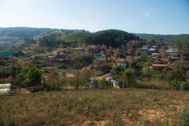 Phitsanulok Thailand January 25 2023 Wat Pa Phuhin Rong kla, Ban Rong Kla, Phu Hin Rong Kla National Park.