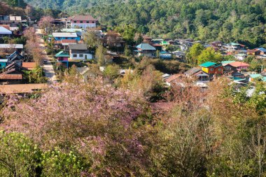 Phitsanulok Thailand January 25 2023 Wat Pa Phuhin Rong kla, Ban Rong Kla, Phu Hin Rong Kla National Park.