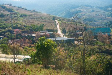 Phitsanulok Thailand January 25 2023 Wat Pa Phuhin Rong kla, Ban Rong Kla, Phu Hin Rong Kla National Park.