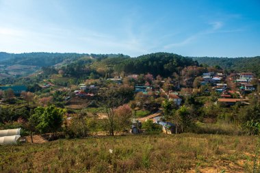 Phitsanulok Tayland 25 Ocak 2023 Wat Pa Phuhin Rong kla, Ban Rong Kla, Phu Hin Rong Kla Milli Park.