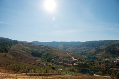 Phitsanulok Tayland 25 Ocak 2023 Wat Pa Phuhin Rong kla, Ban Rong Kla, Phu Hin Rong Kla Milli Park.