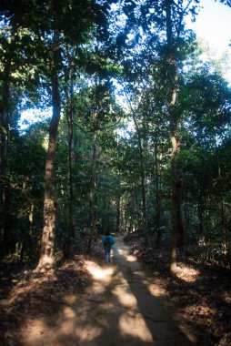 Phitsanulok Thailand January 25 2023 Wat Pa Phuhin Rong kla, Ban Rong Kla, Phu Hin Rong Kla National Park.