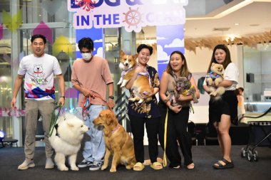 Rayong Tayland 23 Haziran 2023 Köpek ve çeviklik yarışmasında bir idareci .