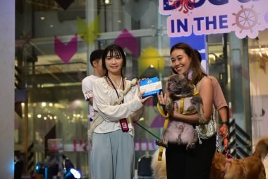 Rayong Tayland 23 Haziran 2023 Köpek ve çeviklik yarışmasında bir idareci .