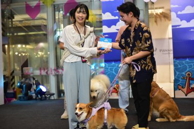 Rayong Tayland 23 Haziran 2023 Köpek ve çeviklik yarışmasında bir idareci .