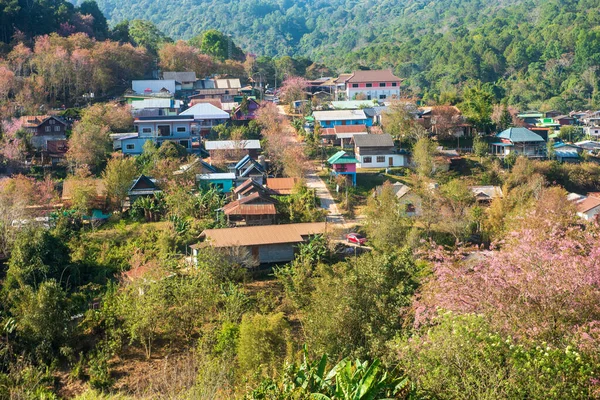 Phitsanulok Thailand January 2023 Wat Phuhin Rong Kla Ban Rong — Zdjęcie stockowe