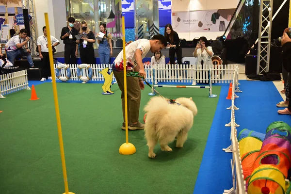 Rayong Tayland 23 Haziran 2023 Köpek ve çeviklik yarışmasında bir idareci .