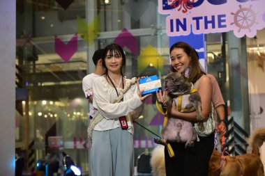 Rayong Tayland 23 Haziran 2023 Köpek ve çeviklik yarışmasında bir idareci .
