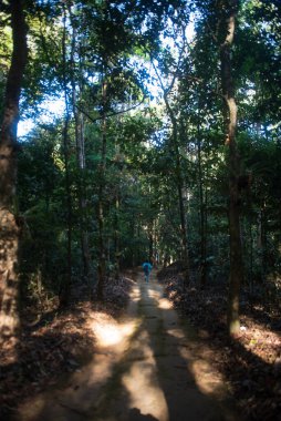 Phitsanulok Thailand January 25 2023 Wat Pa Phuhin Rong kla, Ban Rong Kla, Phu Hin Rong Kla National Park.