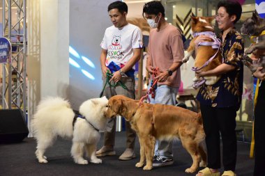 Rayong Tayland 23 Haziran 2023 Köpek ve çeviklik yarışmasında bir idareci .