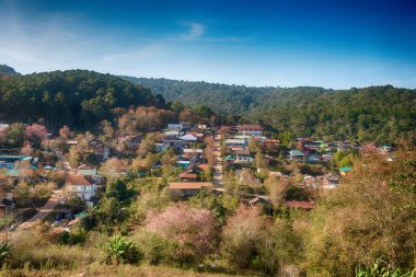 Phitsanulok Thailand January 25 2023 Wat Pa Phuhin Rong kla, Ban Rong Kla, Phu Hin Rong Kla National Park.