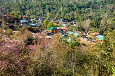 Phitsanulok Tayland 25 Ocak 2023 Wat Pa Phuhin Rong kla, Ban Rong Kla, Phu Hin Rong Kla Milli Park.