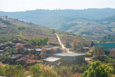 Phitsanulok Thailand January 25 2023 Wat Pa Phuhin Rong kla, Ban Rong Kla, Phu Hin Rong Kla National Park.