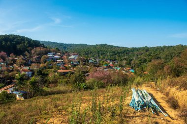 Phitsanulok Thailand January 25 2023 Wat Pa Phuhin Rong kla, Ban Rong Kla, Phu Hin Rong Kla National Park.