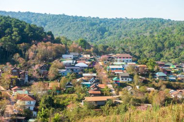 Phitsanulok Tayland 25 Ocak 2023 Wat Pa Phuhin Rong kla, Ban Rong Kla, Phu Hin Rong Kla Milli Park.