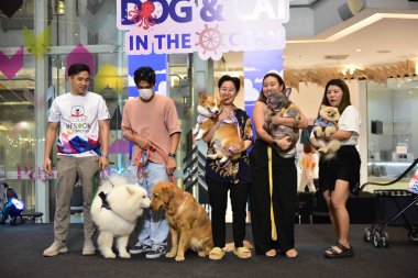 Rayong Tayland 23 Haziran 2023 Köpek ve çeviklik yarışmasında bir idareci .