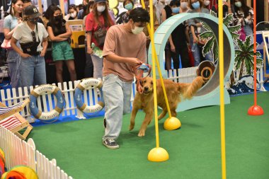 Rayong Tayland 23 Haziran 2023 Köpek ve çeviklik yarışmasında bir idareci .