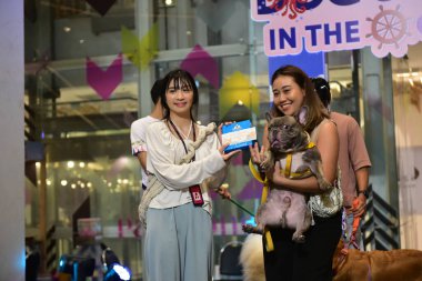 Rayong Tayland 23 Haziran 2023 Köpek ve çeviklik yarışmasında bir idareci .