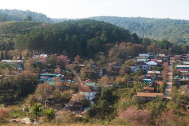 Phitsanulok Thailand January 25 2023 Wat Pa Phuhin Rong kla, Ban Rong Kla, Phu Hin Rong Kla National Park.