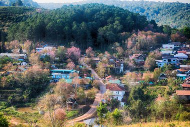 Phitsanulok Thailand January 25 2023 Wat Pa Phuhin Rong kla, Ban Rong Kla, Phu Hin Rong Kla National Park.