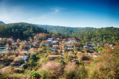 Phitsanulok Thailand January 25 2023 Wat Pa Phuhin Rong kla, Ban Rong Kla, Phu Hin Rong Kla National Park.