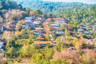 Phitsanulok Tayland 25 Ocak 2023 Wat Pa Phuhin Rong kla, Ban Rong Kla, Phu Hin Rong Kla Milli Park.