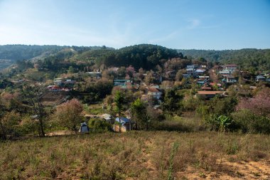 Phitsanulok Thailand January 25 2023 Wat Pa Phuhin Rong kla, Ban Rong Kla, Phu Hin Rong Kla National Park.