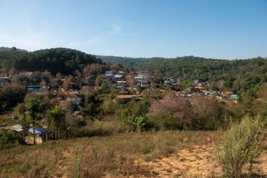 Phitsanulok Thailand January 25 2023 Wat Pa Phuhin Rong kla, Ban Rong Kla, Phu Hin Rong Kla National Park.